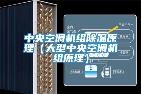 中央空調(diào)機(jī)組除濕原理(大型中央空調(diào)機(jī)組原理)