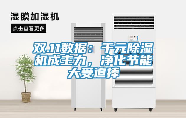 雙.11數(shù)據(jù)：千元除濕機(jī)成主力，凈化節(jié)能大受追捧