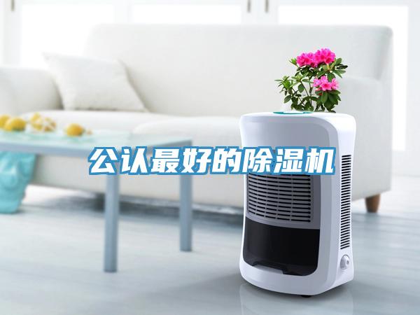 公認(rèn)最好的除濕機