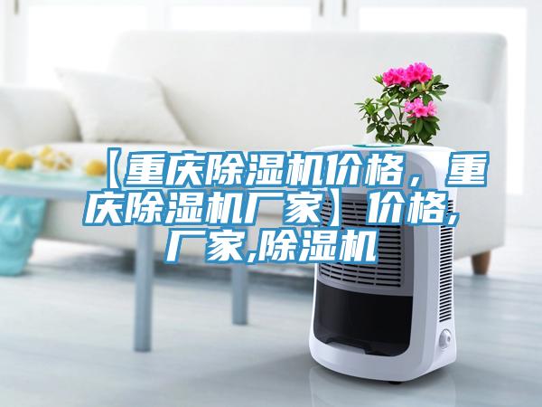 【重慶除濕機(jī)價(jià)格，重慶除濕機(jī)廠家】價(jià)格,廠家,除濕機(jī)