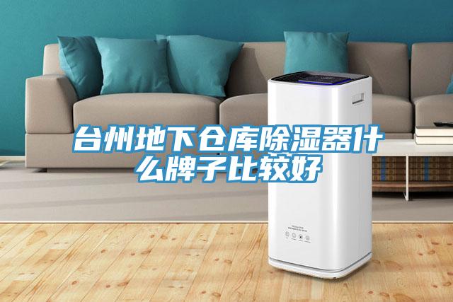 臺(tái)州地下倉(cāng)庫(kù)除濕器什么牌子比較好