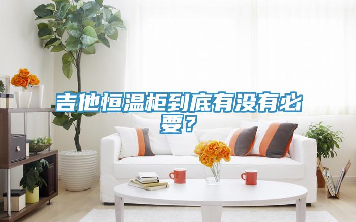 吉他恒溫柜到底有沒(méi)有必要？