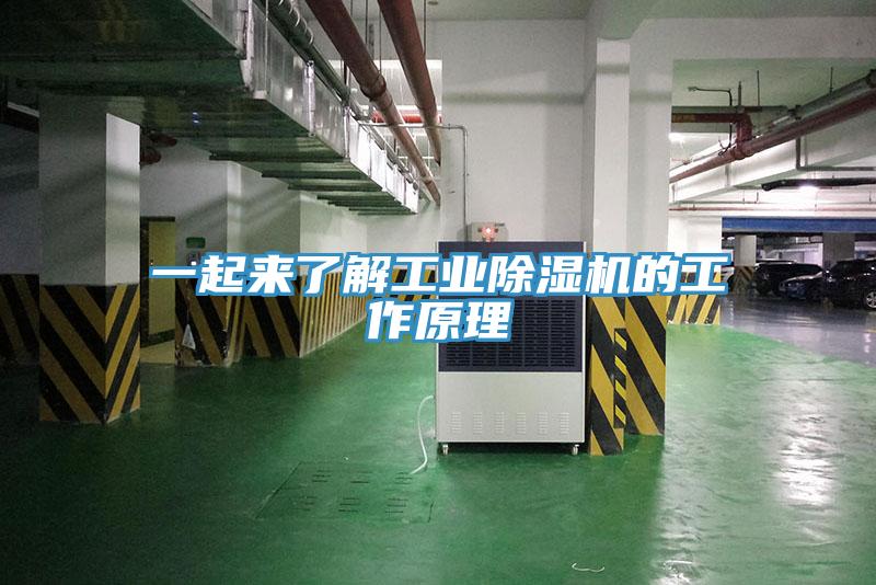 一起來了解工業(yè)除濕機的工作原理