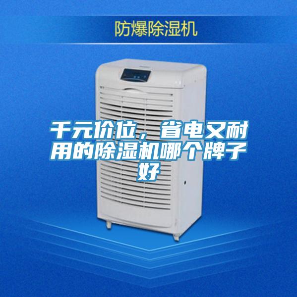 千元價位，省電又耐用的除濕機哪個牌子好