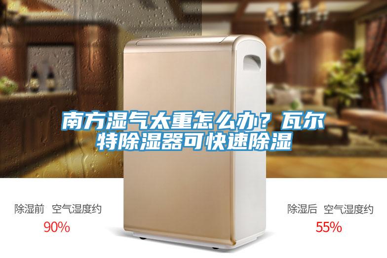南方濕氣太重怎么辦？瓦爾特除濕器可快速除濕