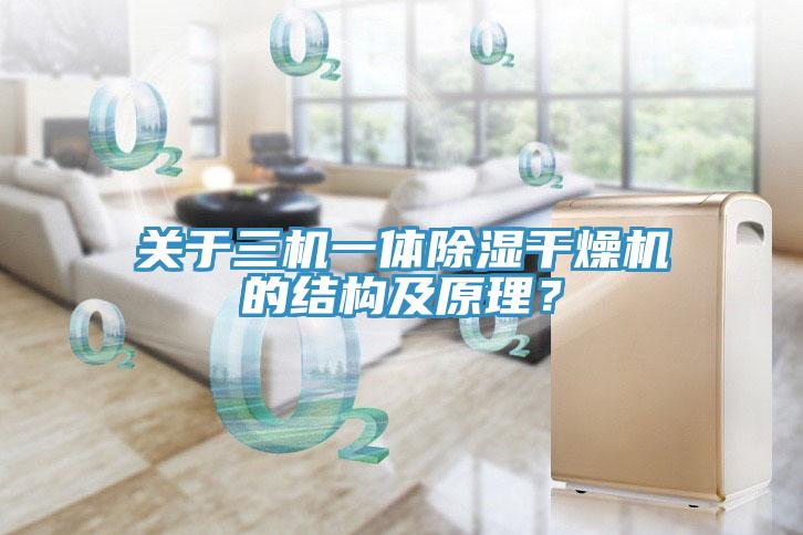 關(guān)于三機一體除濕干燥機的結(jié)構(gòu)及原理？