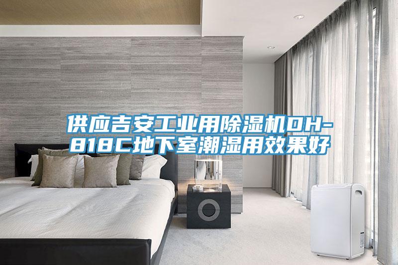 供應(yīng)吉安工業(yè)用除濕機(jī)DH-818C地下室潮濕用效果好