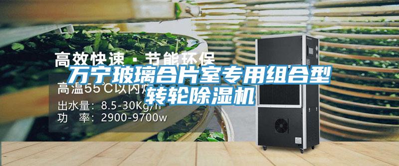 萬寧玻璃合片室專用組合型轉(zhuǎn)輪除濕機
