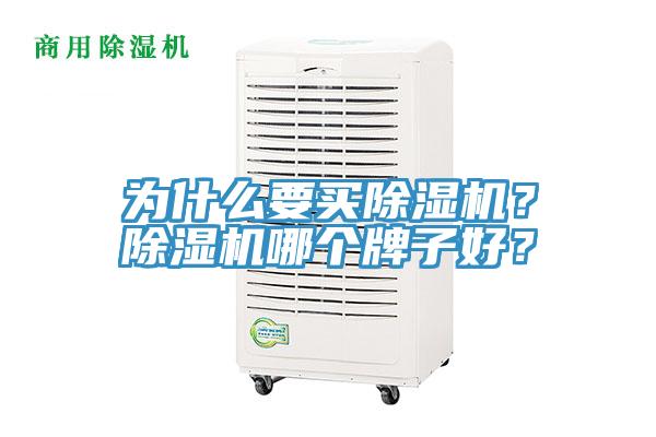 為什么要買除濕機？除濕機哪個牌子好？