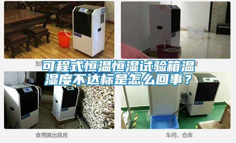 可程式恒溫恒濕試驗(yàn)箱溫濕度不達(dá)標(biāo)是怎么回事？