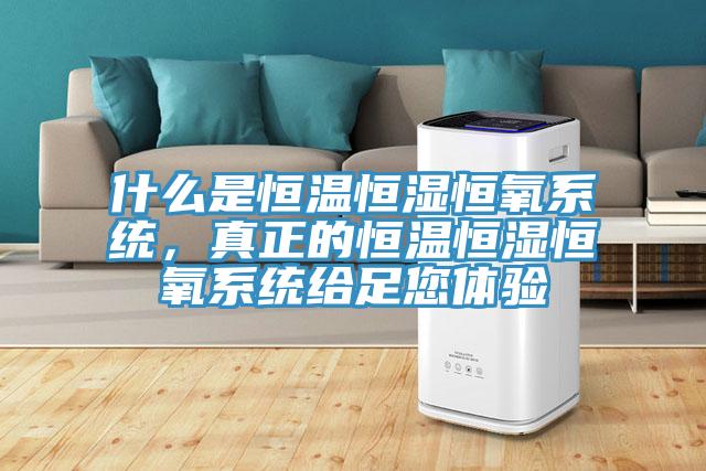 什么是恒溫恒濕恒氧系統(tǒng)，真正的恒溫恒濕恒氧系統(tǒng)給足您體驗
