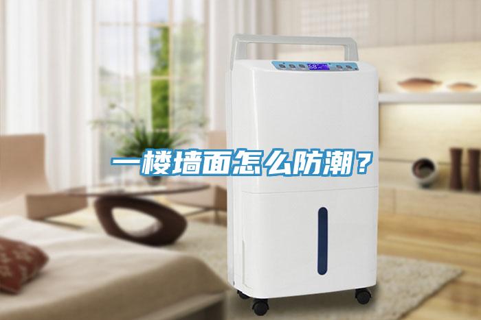 一樓墻面怎么防潮？