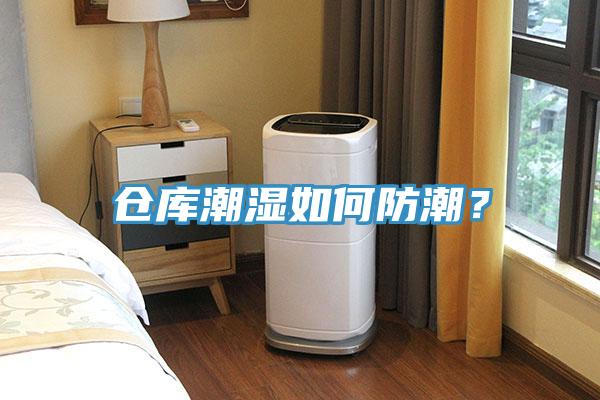 倉(cāng)庫(kù)潮濕如何防潮？