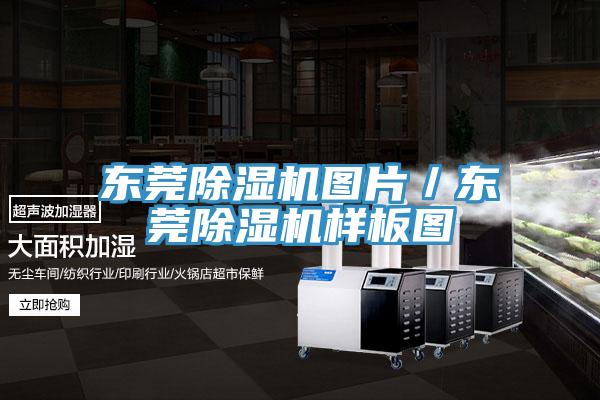 東莞除濕機圖片/東莞除濕機樣板圖