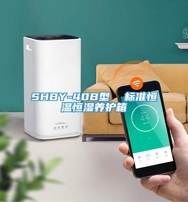 SHBY-40B型  標(biāo)準(zhǔn)恒溫恒濕養(yǎng)護(hù)箱