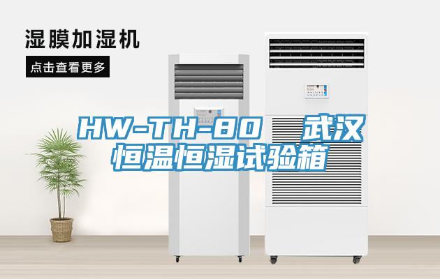 HW-TH-80  武漢恒溫恒濕試驗(yàn)箱