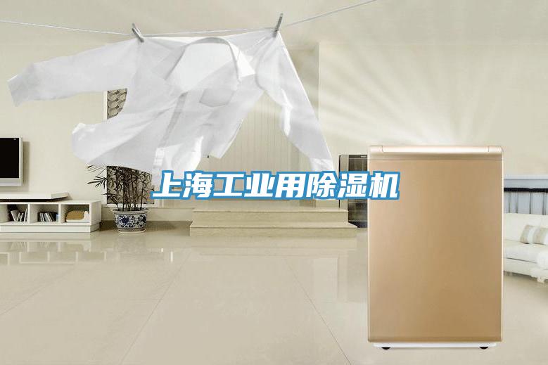 上海工業(yè)用除濕機(jī)