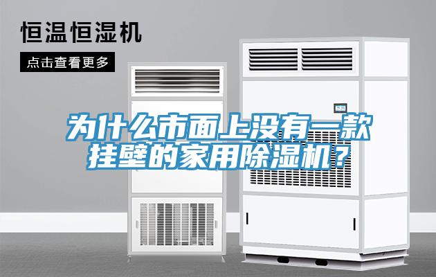 為什么市面上沒有一款掛壁的家用除濕機？