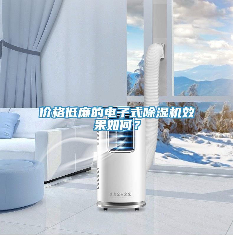 價格低廉的電子式除濕機(jī)效果如何？
