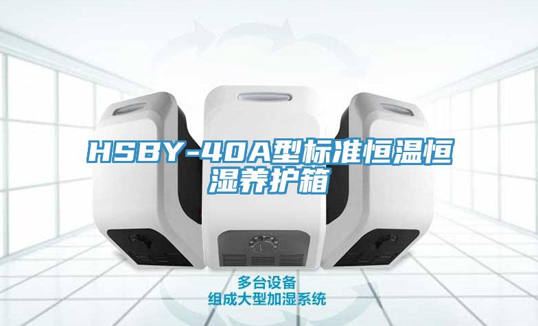 HSBY-40A型標準恒溫恒濕養(yǎng)護箱