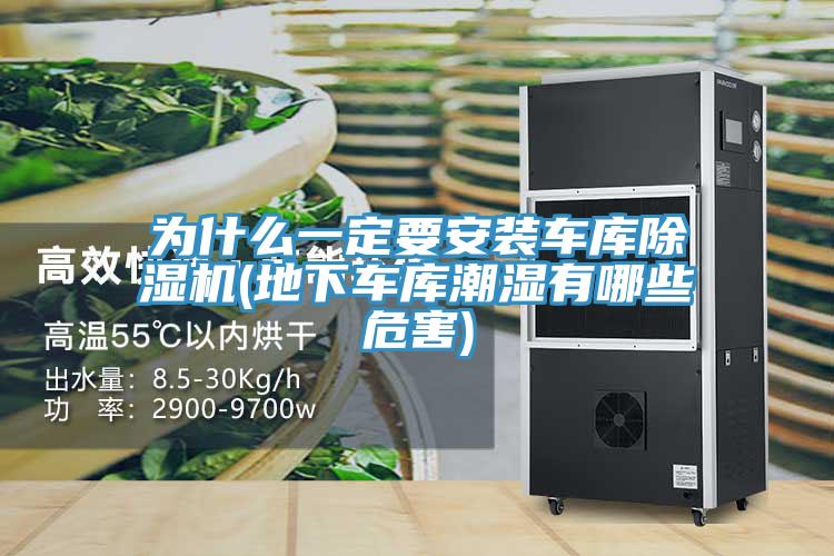 為什么一定要安裝車(chē)庫(kù)除濕機(jī)(地下車(chē)庫(kù)潮濕有哪些危害)