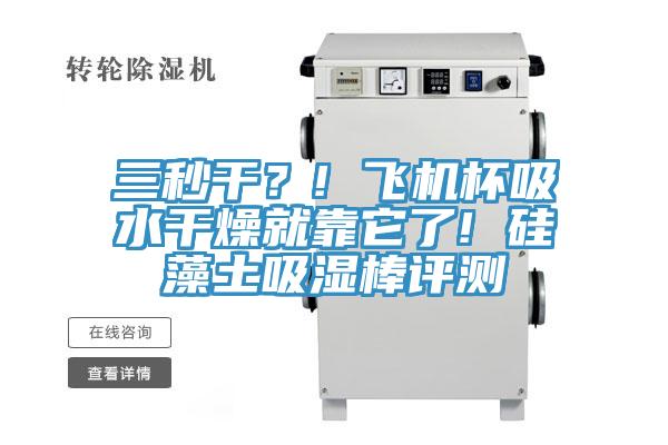 三秒干？! 飛機杯吸水干燥就靠它了! 硅藻土吸濕棒評測
