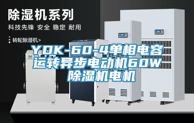 YDK-60-4單相電容運(yùn)轉(zhuǎn)異步電動(dòng)機(jī)60W 除濕機(jī)電機(jī)