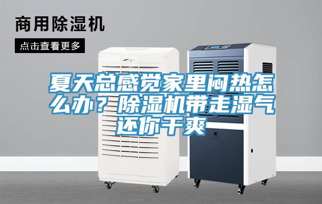 夏天總感覺家里悶熱怎么辦？除濕機(jī)帶走濕氣還你干爽