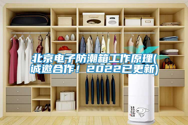 北京電子防潮箱工作原理(誠(chéng)邀合作！2022已更新)