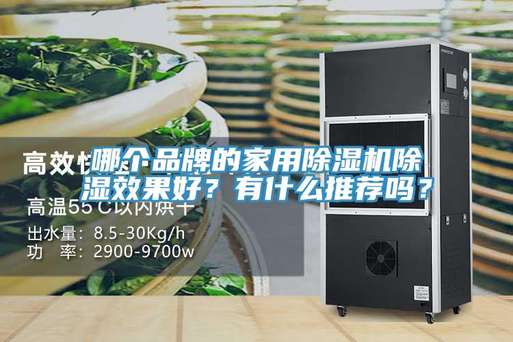 哪個(gè)品牌的家用除濕機(jī)除濕效果好？有什么推薦嗎？