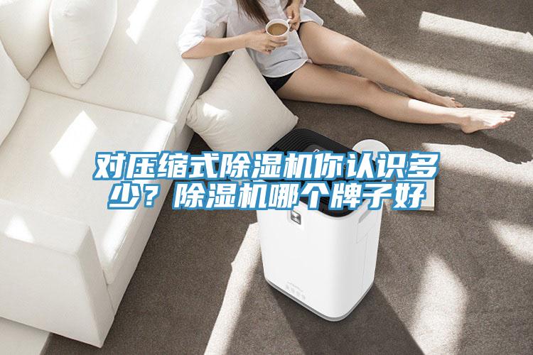 對壓縮式除濕機你認識多少？除濕機哪個牌子好
