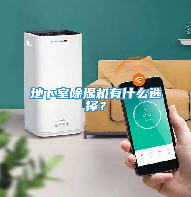 地下室除濕機(jī)有什么選擇？