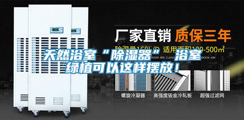 天然浴室“除濕器” 浴室綠植可以這樣擺放！