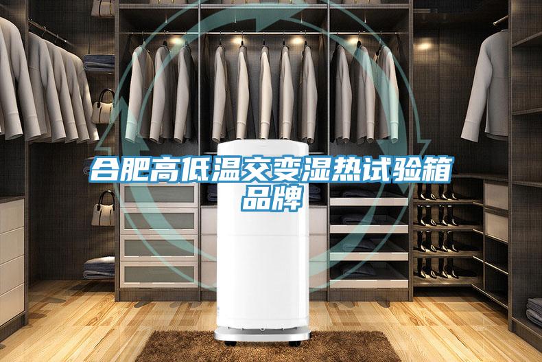 合肥高低溫交變濕熱試驗箱品牌