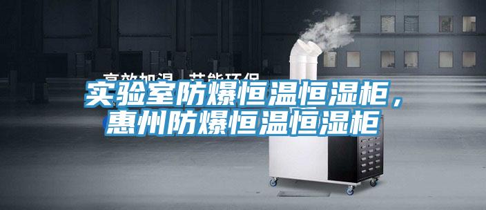 實驗室防爆恒溫恒濕柜，惠州防爆恒溫恒濕柜