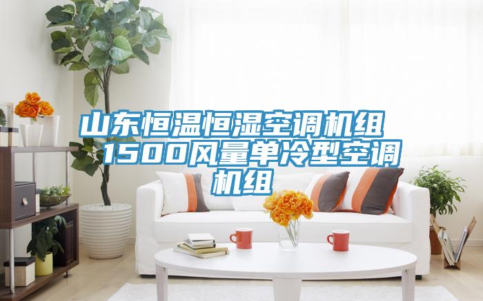 山東恒溫恒濕空調(diào)機組  1500風(fēng)量單冷型空調(diào)機組