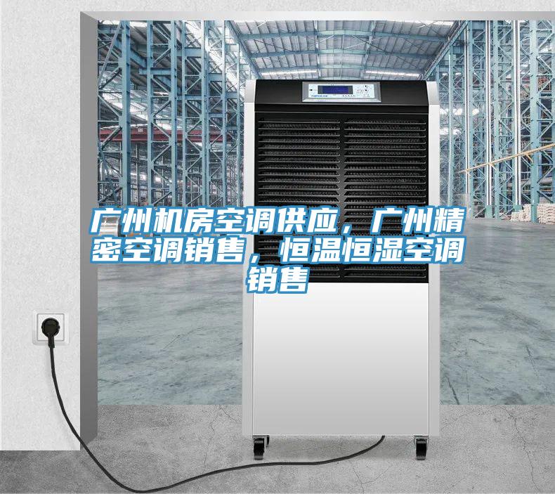 廣州機(jī)房空調(diào)供應(yīng)，廣州精密空調(diào)銷售，恒溫恒濕空調(diào)銷售