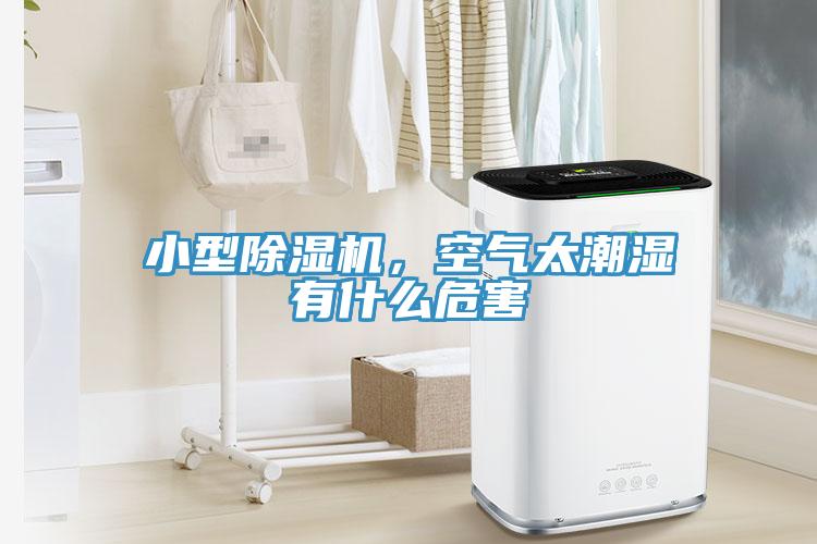 小型除濕機(jī)，空氣太潮濕有什么危害