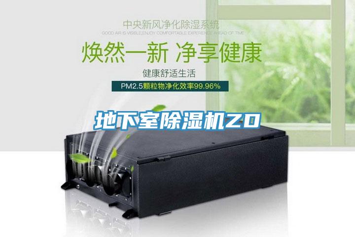 地下室除濕機(jī)ZD