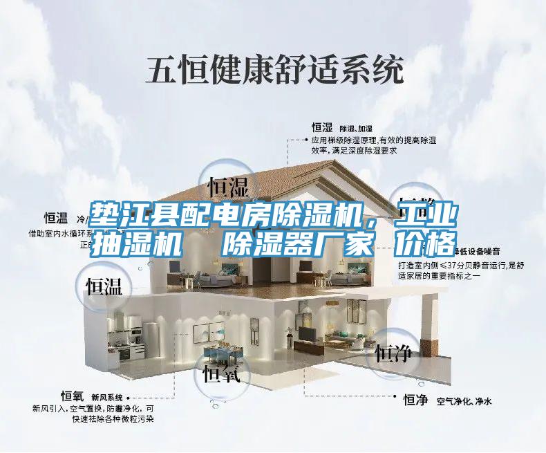 墊江縣配電房除濕機(jī)，工業(yè)抽濕機(jī)  除濕器廠家 價格