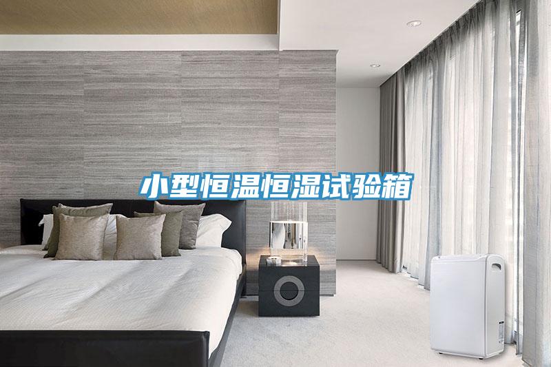 小型恒溫恒濕試驗箱