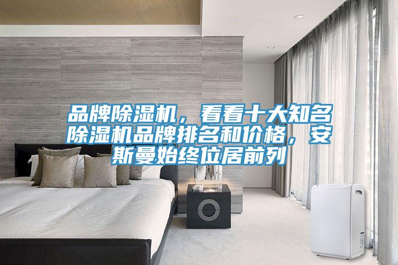 品牌除濕機(jī)，看看十大知名除濕機(jī)品牌排名和價(jià)格，安斯曼始終位居前列