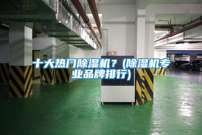 十大熱門除濕機(jī)？(除濕機(jī)專業(yè)品牌排行)