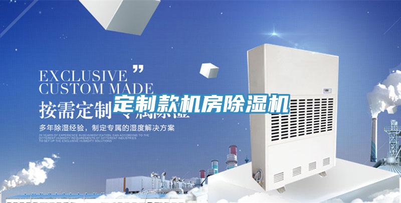 定制款機房除濕機
