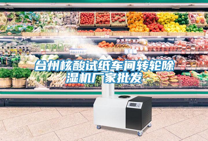 臺州核酸試紙車間轉(zhuǎn)輪除濕機廠家批發(fā)