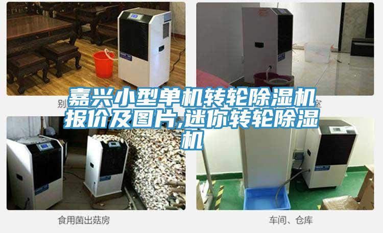 嘉興小型單機(jī)轉(zhuǎn)輪除濕機(jī)報(bào)價(jià)及圖片,迷你轉(zhuǎn)輪除濕機(jī)