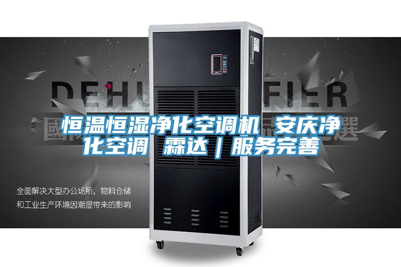 恒溫恒濕凈化空調(diào)機 安慶凈化空調(diào) 霖達｜服務完善