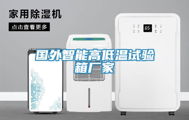 國(guó)外智能高低溫試驗(yàn)箱廠家