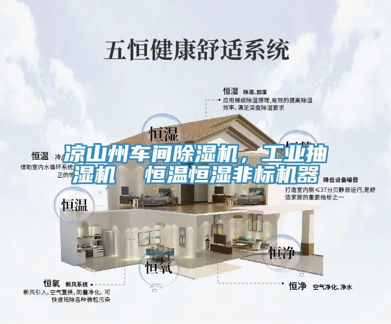 涼山州車間除濕機，工業(yè)抽濕機  恒溫恒濕非標機器