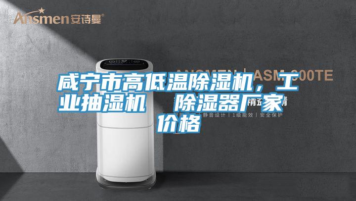 咸寧市高低溫除濕機(jī)，工業(yè)抽濕機(jī)  除濕器廠家 價(jià)格